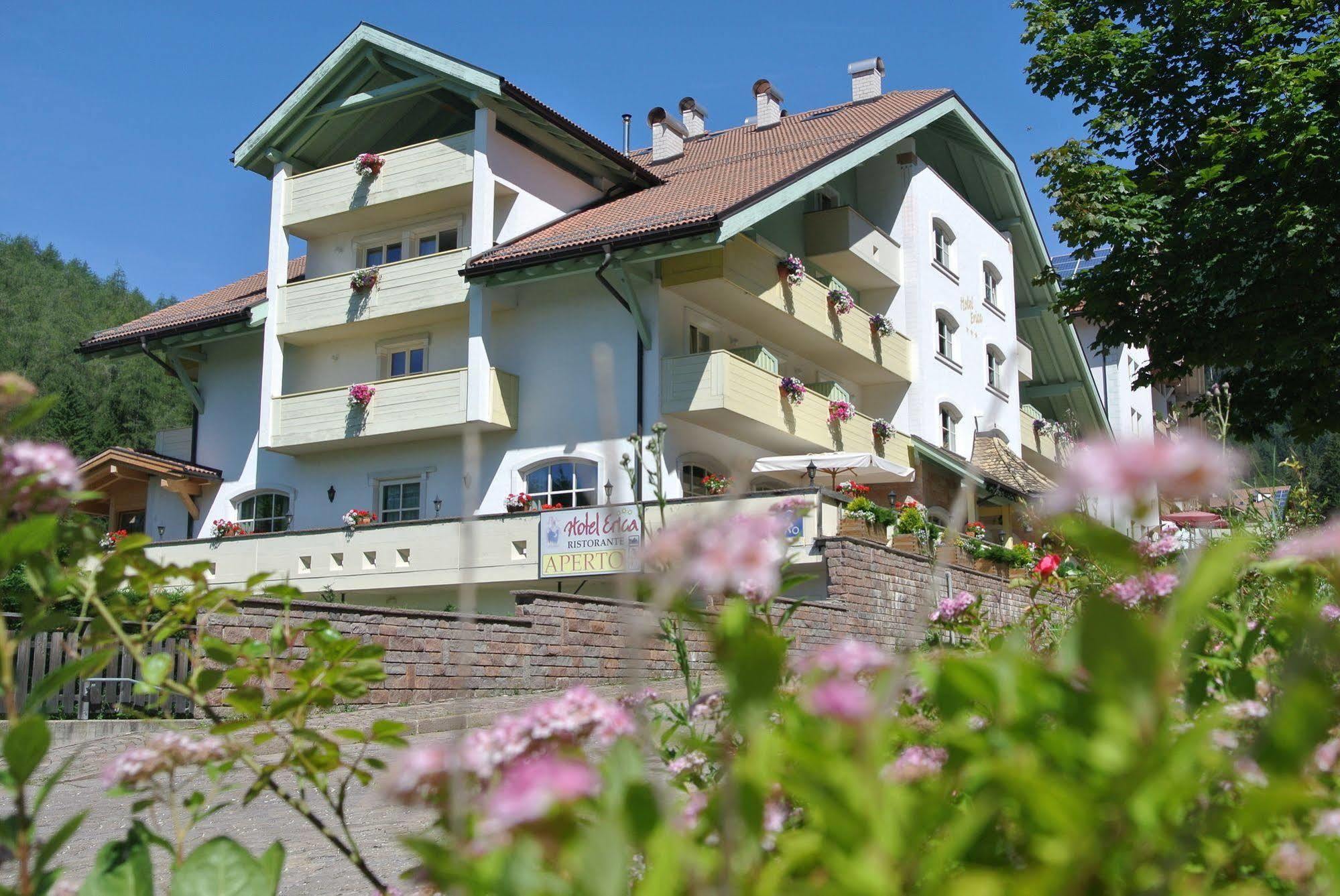 Hotel Erica Tesero Esterno foto